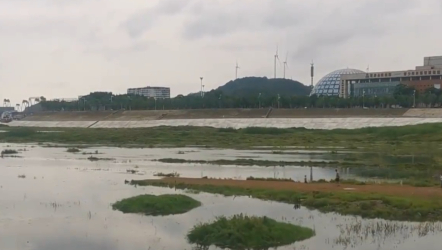 新二四六每期资料挂牌之,哪吒2进全球影史单一市场票房榜前二,重点解答解释落实_标配版V3.80