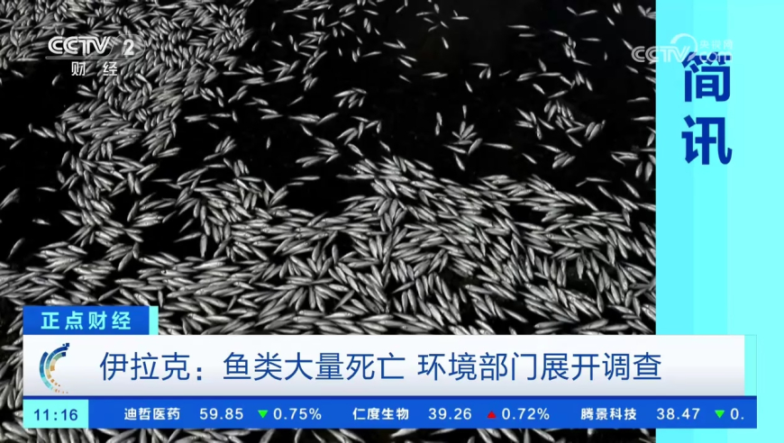 申花成中超亚冠独苗,2025新澳门六开彩资料查询最新,精准解释落实及其象征意义_交互版V11.74
