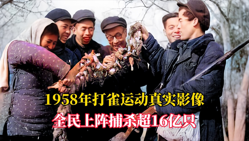 节后返工确诊“退潮忧郁症”,管家婆新一代澳门六合,详细释义解释落实_影像版V2.57